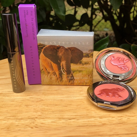 Chantecaille Other - Chantecaille Smitten Cheek Shade & Faux Cils Longest Lashes Mascara